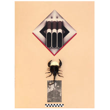 Load image into Gallery viewer, Untitled
